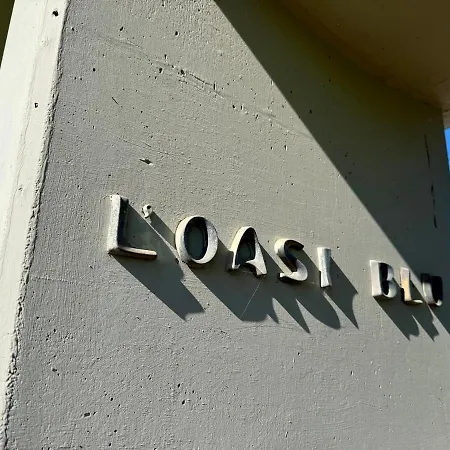 Oasi *